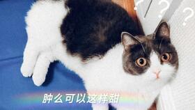 娱乐圈吃瓜磕cp,CP甜蜜互动大盘点